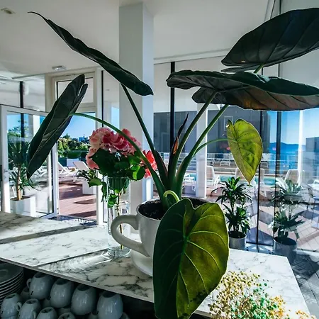 Dedaj - Auri Apartament *