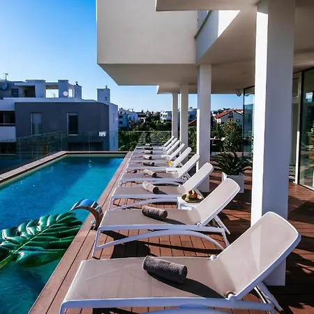 Dedaj - Auri * Zadar