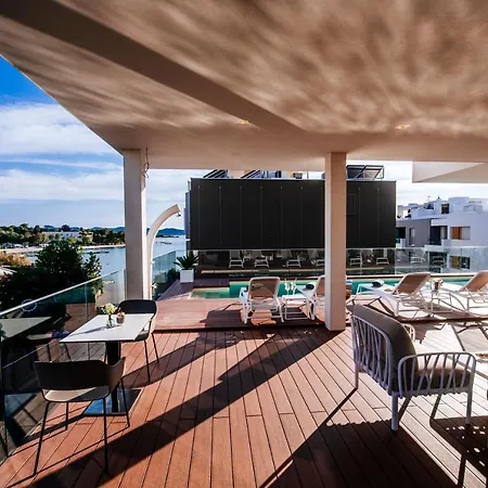 Dedaj - Auri * Zadar